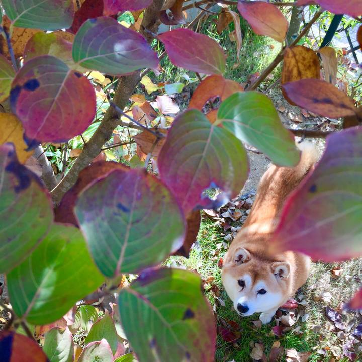 A16d80db 8d8e 4b94 8f1b eee1a6e9c745 1605411069153