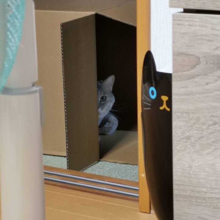 A16dae98 bf97 4ae9 8995 f6351d0c28dc 1633869454924