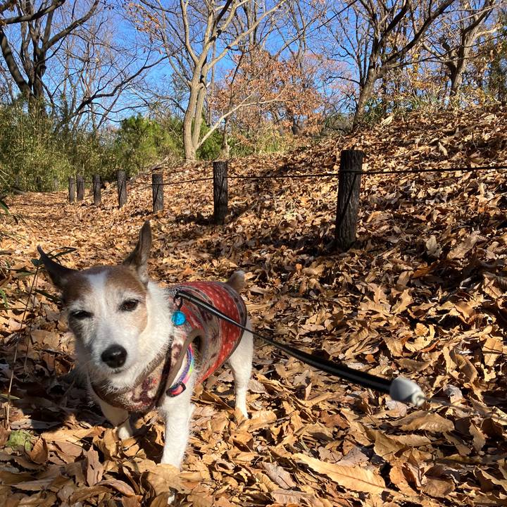 A16dc427 adba 45f0 ae17 096df01ca48f 1702855396666