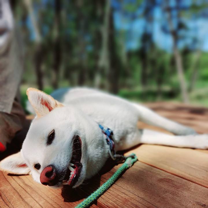 A16dcbd7 fb44 462f 986a b78942255c68 1682224333124