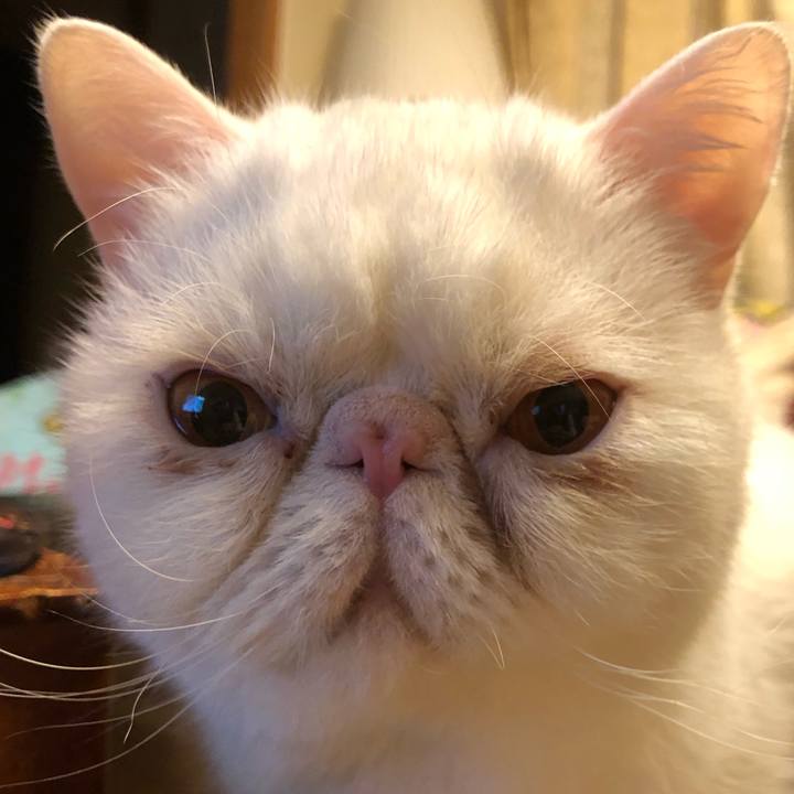 A16de744 471d 4c76 96ae 9757479c8738 1646828622835