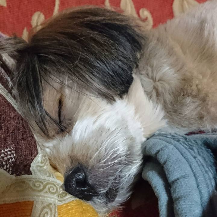 A16e3b0e 5bea 4157 9f39 a1d2e0392941 1511094741449