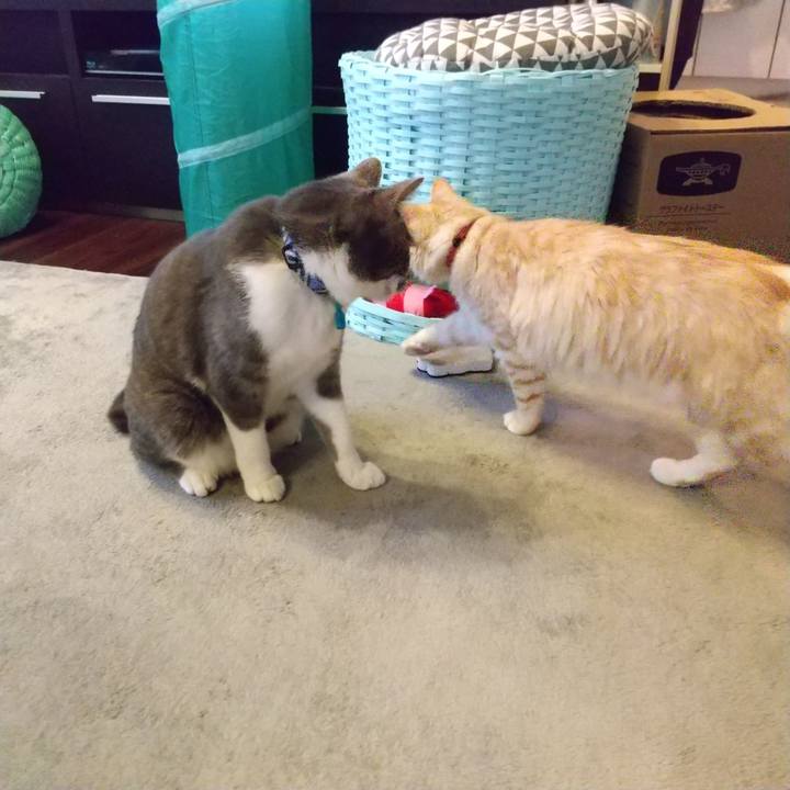 A16e3e2f 1a77 4919 bd31 1f90893f0f15 1617054665126