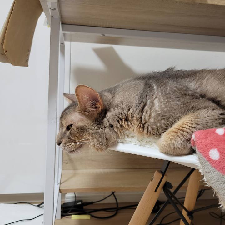 A16e9cab 680f 4afc 9351 3d84ae5d40e4 1636985738083