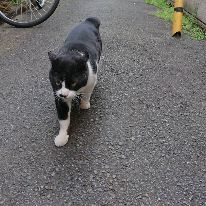 A16ea405 50a9 414c 9a83 7228b30ff4f9 1554610124203