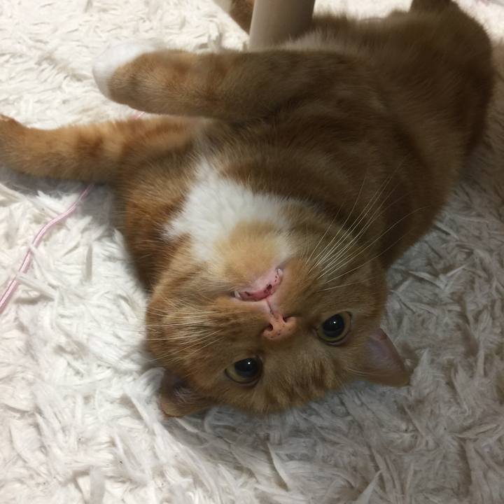 A16ec51f 8b67 4af8 9053 9c64172731fb 1592569960988