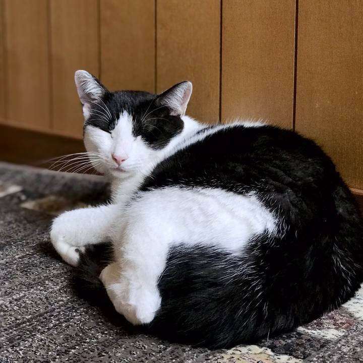 A16ed620 00e2 4bb3 b0af fbec9b18f640 1537800353811