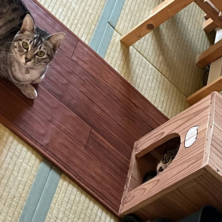 A16f2aec 5c4d 4532 8f1d 2e0b2fdb4602 1740268701154