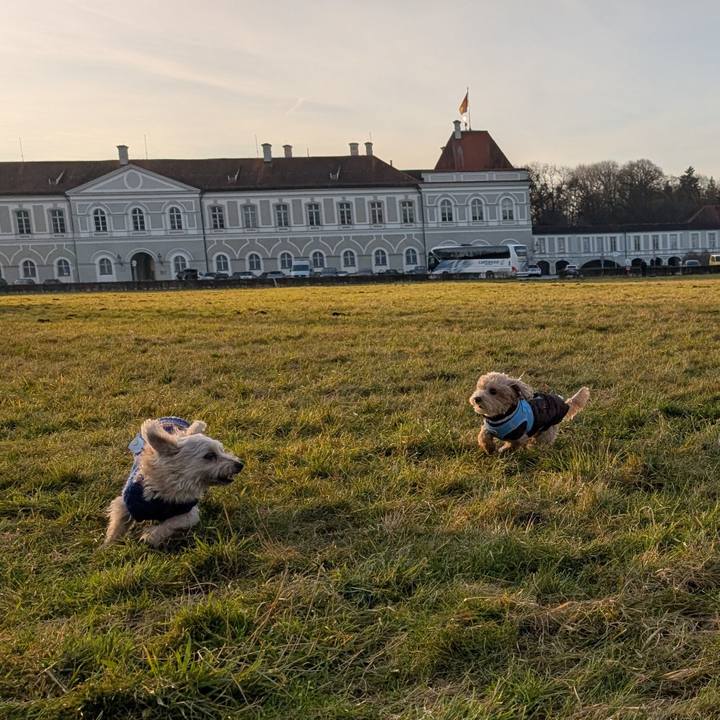 A16f4bc3 0011 4ace a94d e25035c3c80e 1765553286039