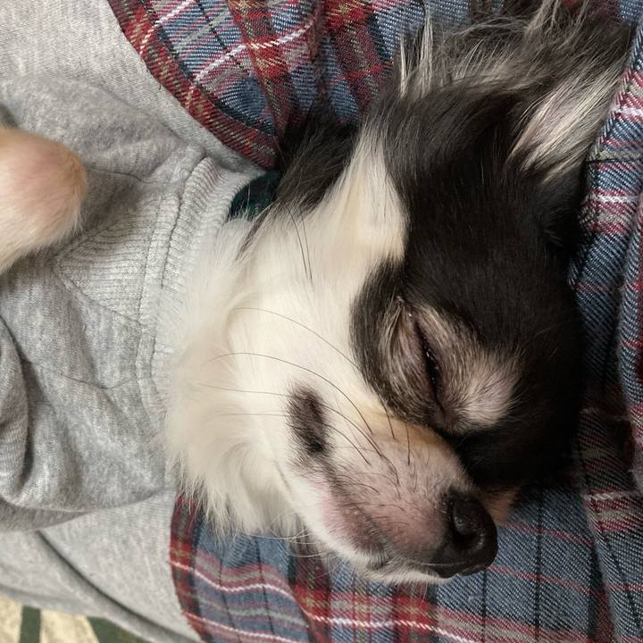 A16f6020 8653 47f6 8c6c 5f5c48ae9e13 1640872034611