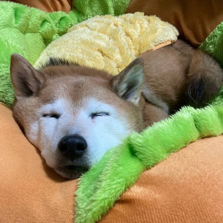 A16f7ed4 deeb 4f92 966c fa8c73efe21b 1771301635325