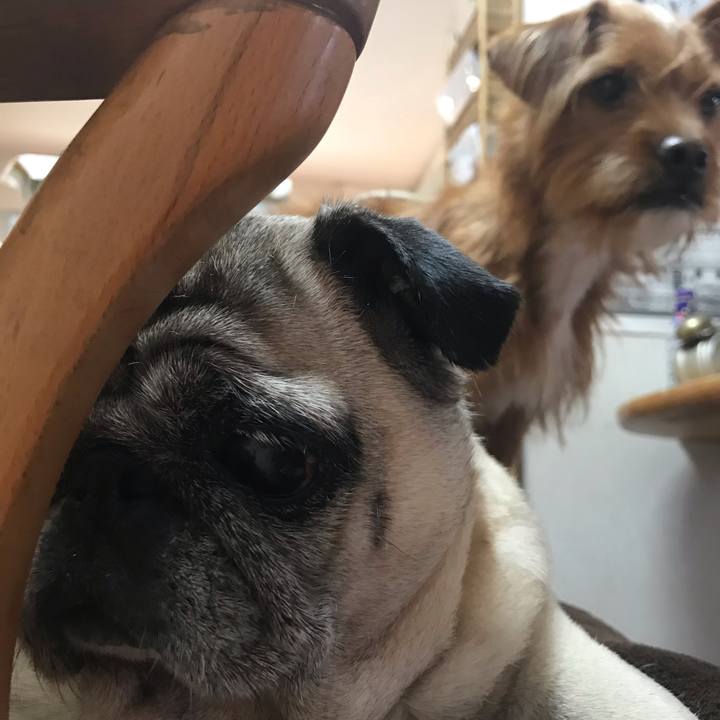 A16f96ed cf94 4f1f abec 44eceb3e379e 1543111263248