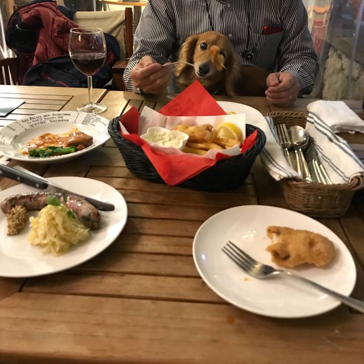 A16fa264 b335 4ec0 bf83 1daf9248cb78 1519386437033