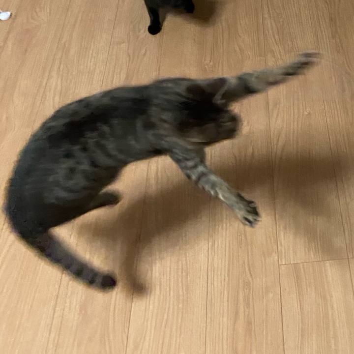 A16fd2bc ad4c 408b ac1e df0b1f85d606 1620736587418