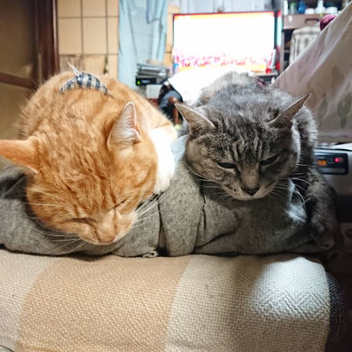 A16fedc9 532f 4c91 8ad8 4cb3fc935d16 1576229164957