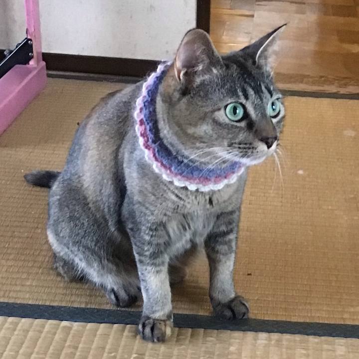 A1701e73 ab16 4ab5 8ab5 d6a1975e9c1e 1624516454581