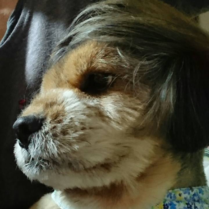 A17023dc 3e99 4306 b108 9416b11a47fd 1539430343648