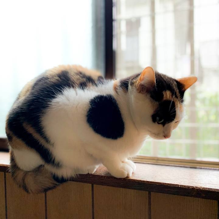 A1702d10 ba33 4e6a 9f17 6d030f0afa81 1588126160017