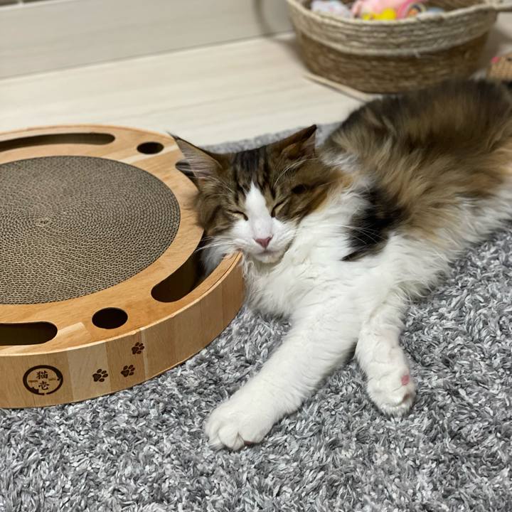 A1703ced d243 4f13 a14c 13de2816c708 1639477786967