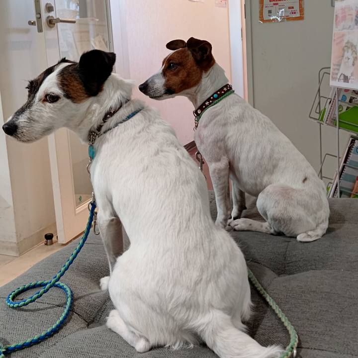 A1704a3b 053e 4524 832a d439f3ee2ac6 1645869694886