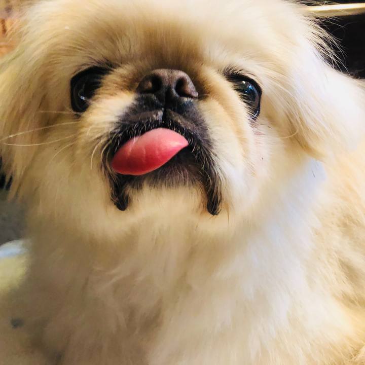 A170a338 a8e2 4f6c b982 37ed3fc20571 1592644147690