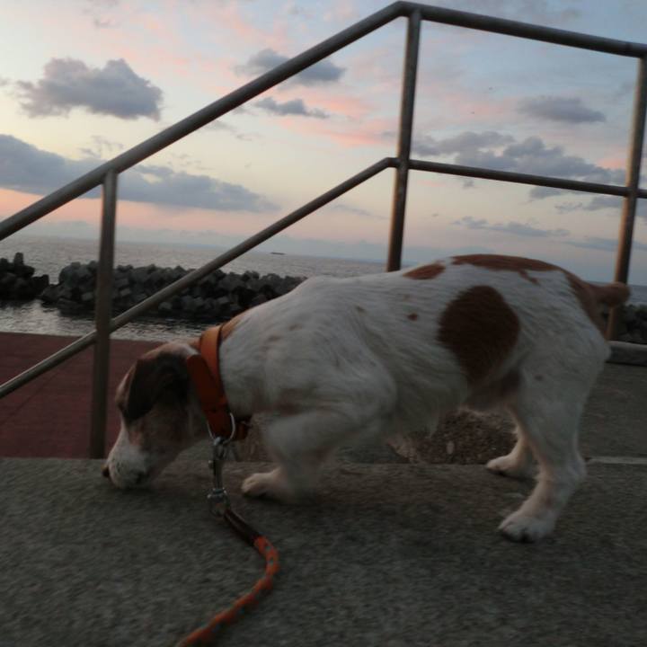 A170bbb5 68dc 44a3 86f6 b7ab2776f806 1553596427480