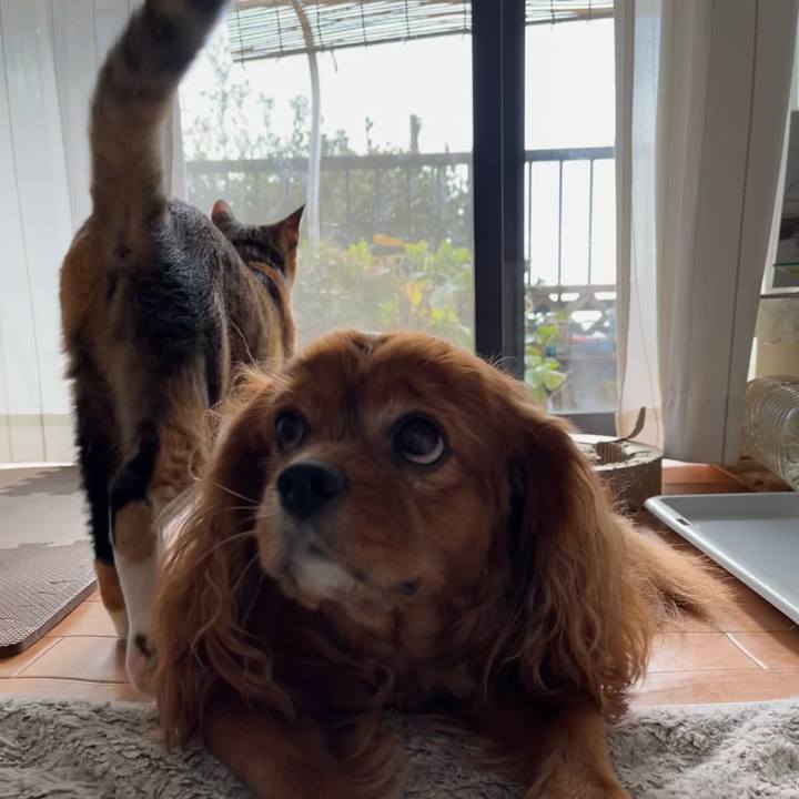 A170c2d5 d7cb 4886 b1a6 8ff5d3258b6f 1668944396327