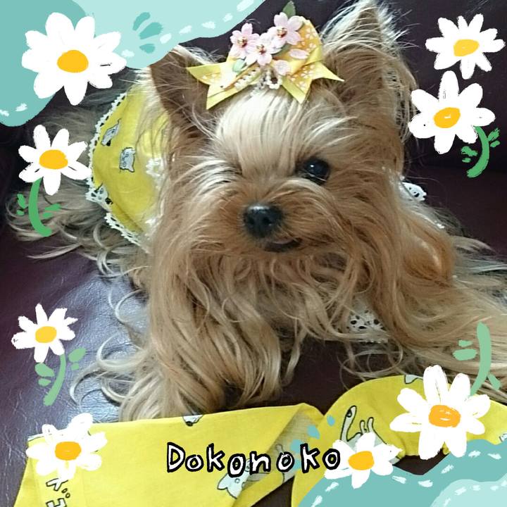 A1710279 f7f2 4bf8 b7e5 f7ee5b5fee62 1712463845761