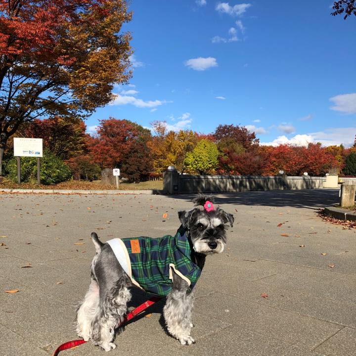 A171090f f985 405b 8c72 7ff2c05182d9 1667720900773