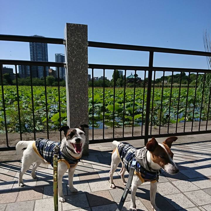 A1713230 eb3b 4972 971b d95affe78d6c 1526804270211