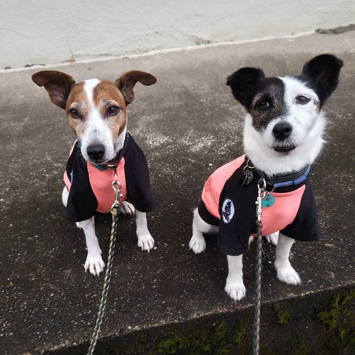 A1714182 5311 46ce ad65 6e984170e46e 1757625793697