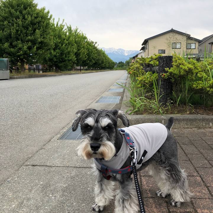 A171f272 b5f5 462e 84c4 b52a8e0fd57d 1652587694273