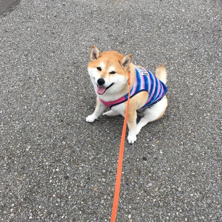 A171f70e f92b 4683 bea9 b57da5a44a86 1571194391579