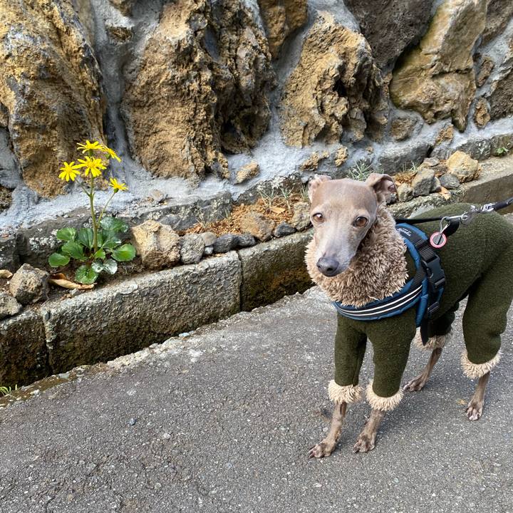 A171fa84 b348 452a 90fc 24ba5e411aea 1763520111675