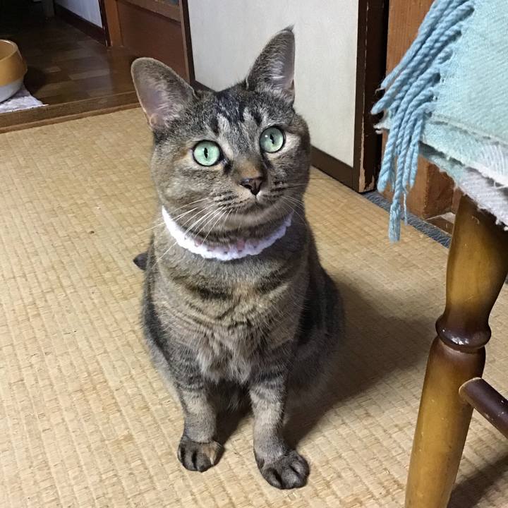 A1728f4a 485c 49e8 b6f9 4e6685edb573 1725345987629