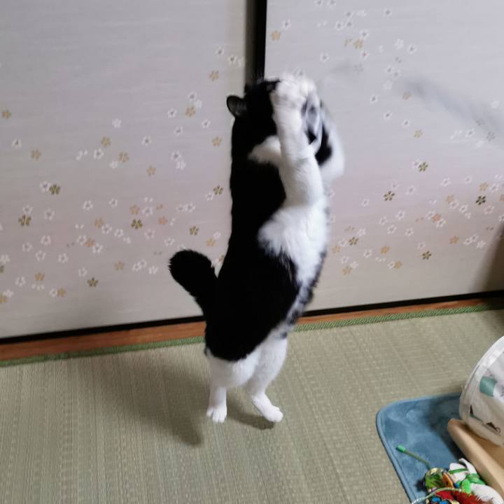 A1729772 82f0 4474 8e21 65ecb6c2d2e0 1673928686105