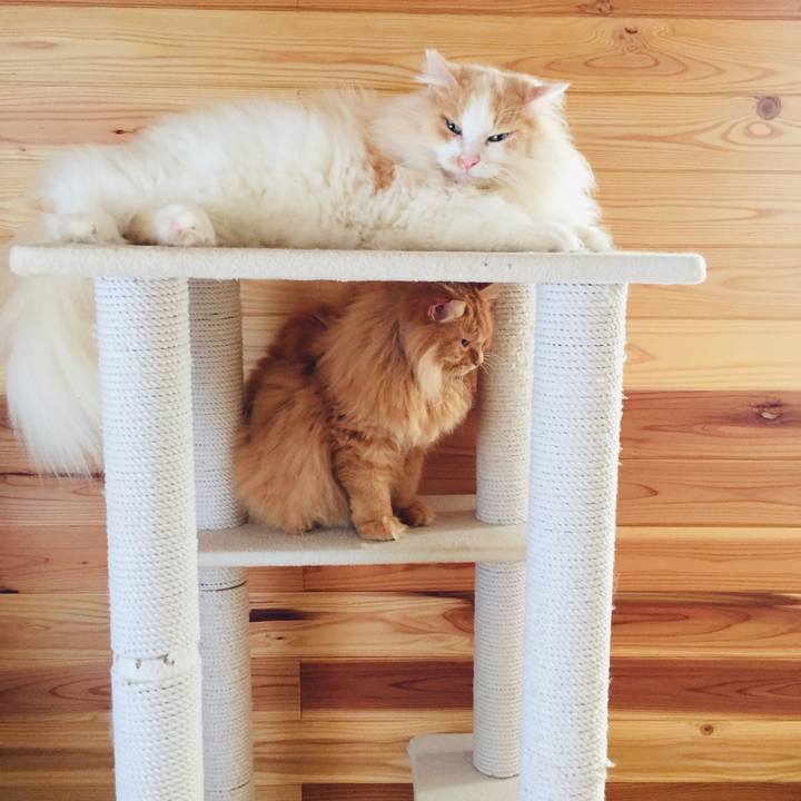 A172ed69 ced2 490b a0af f47411a96949 1566948792155