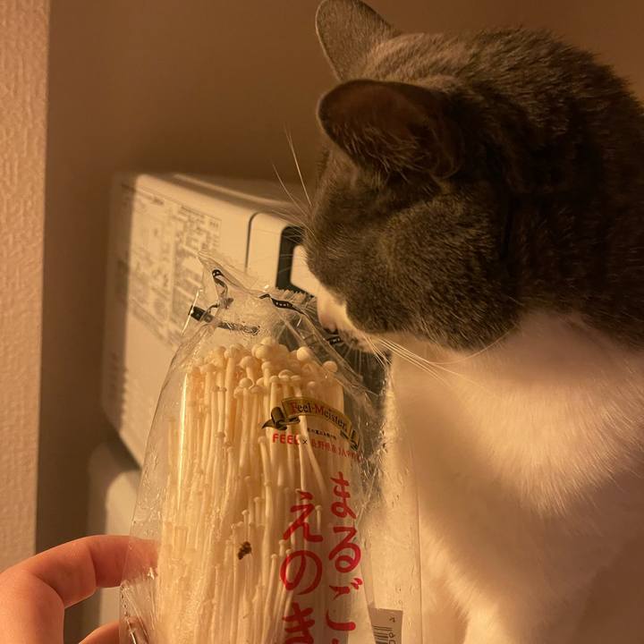 A172ff6b 8272 4afd 8cb2 f7a1ababe04d 1703067467644