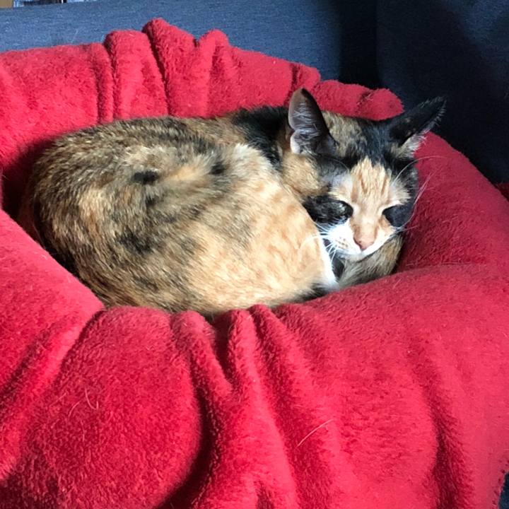 A1732e96 b8a9 4c9b ba0d 5092006c2232 1526077716708