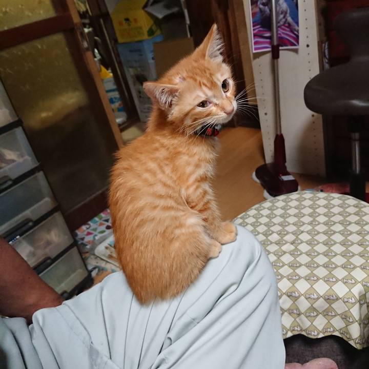 A1736ef6 ff24 4304 b85c df1afeec8141 1629022424882