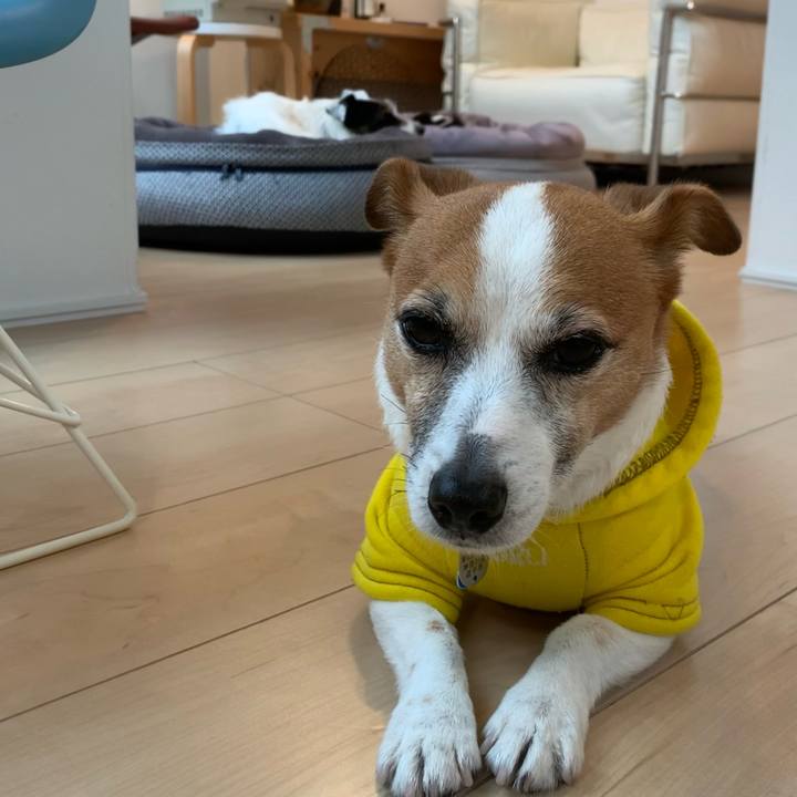 A1739294 f7a6 4ff9 ab9a 5cb75de8e049 1636420351288