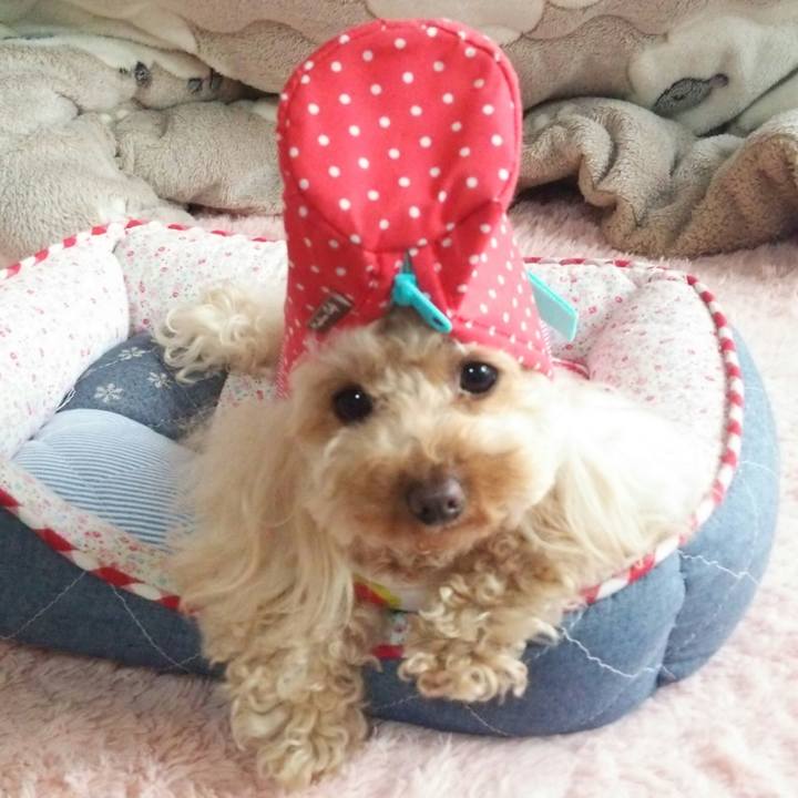 A173b5be 428e 4d3b bc84 9d32dbca75aa 1521119750920