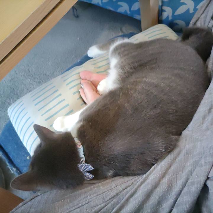 A173c662 2807 4df1 b413 8642e64f6044 1723090172659