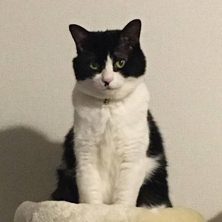 A17468c0 36f0 48ad 9b45 0deeb0195ec6 1584402882952