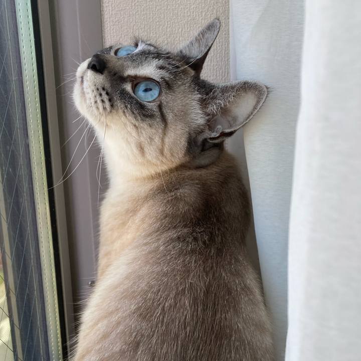 A17487a8 d5a3 4a61 a8c5 95d46dbba5c1 1649468216573