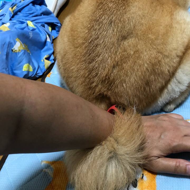 A1749868 7e5b 47d7 9e9c 64222f61e298 1570158042473