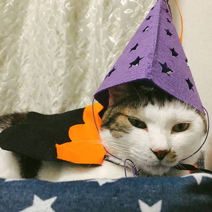 A1749884 bed2 4a1c a21a eedcbb5be5d7 1509254451603