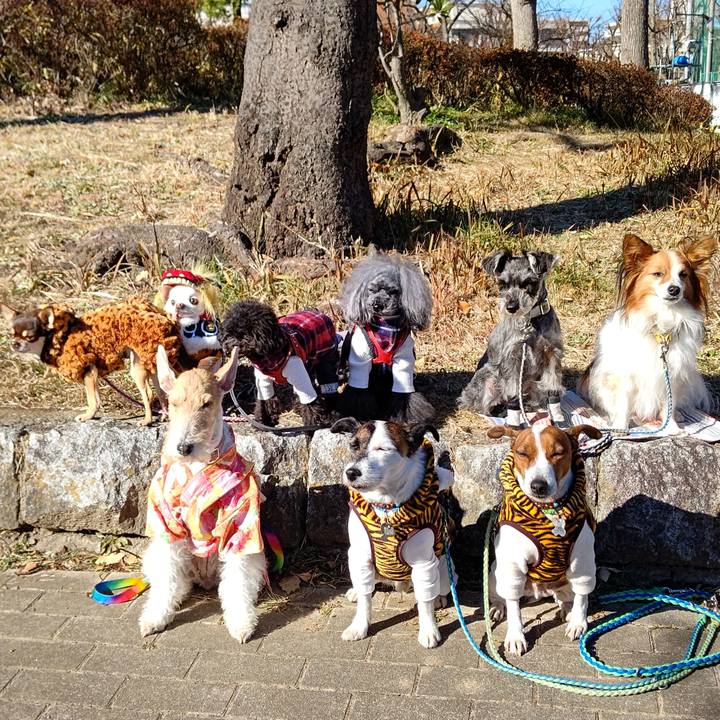 A174a8df ceee 436d ac52 2f43b2824846 1641008882581