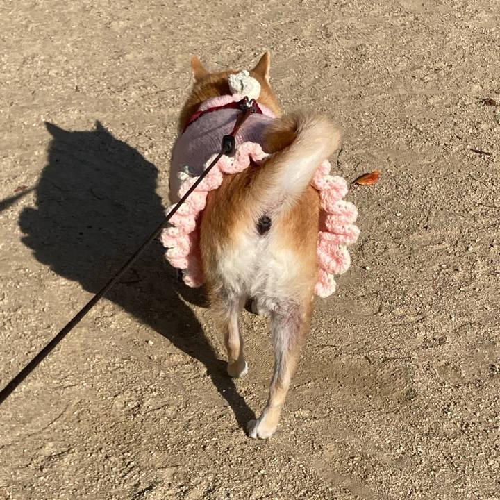 A174ed5d a025 40ee 902a fce01d7fcccd 1639579290230