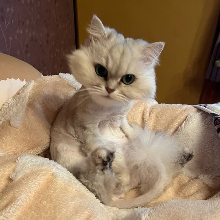 A174f1ea 5b58 4245 bf28 29cbd852b709 1715340100748